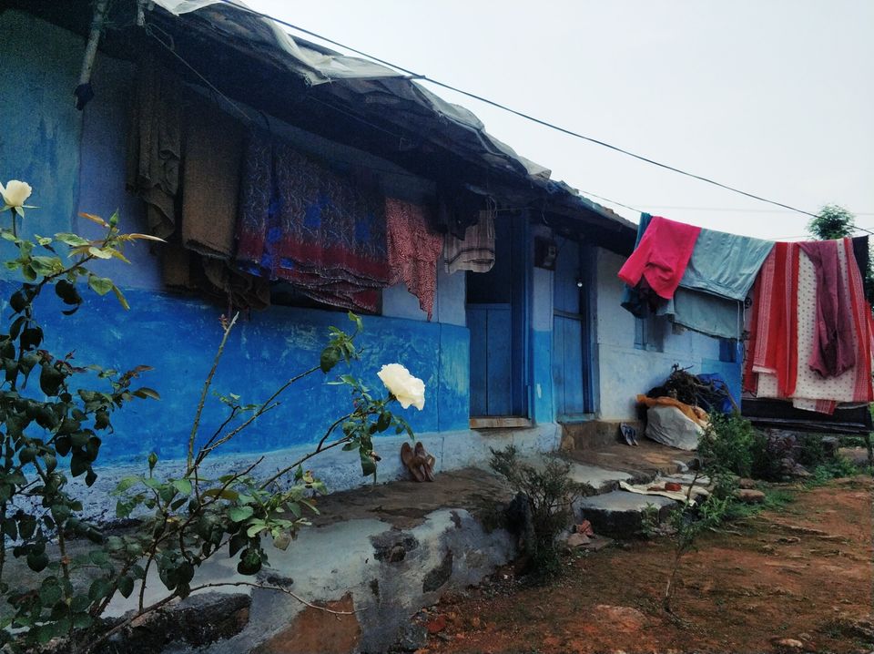 Photo of Meppadi, Kerala, India by Tanjul Sarkar