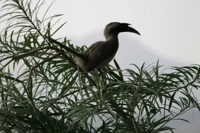 Photo of Asan wet lands by Gaurav Sharma