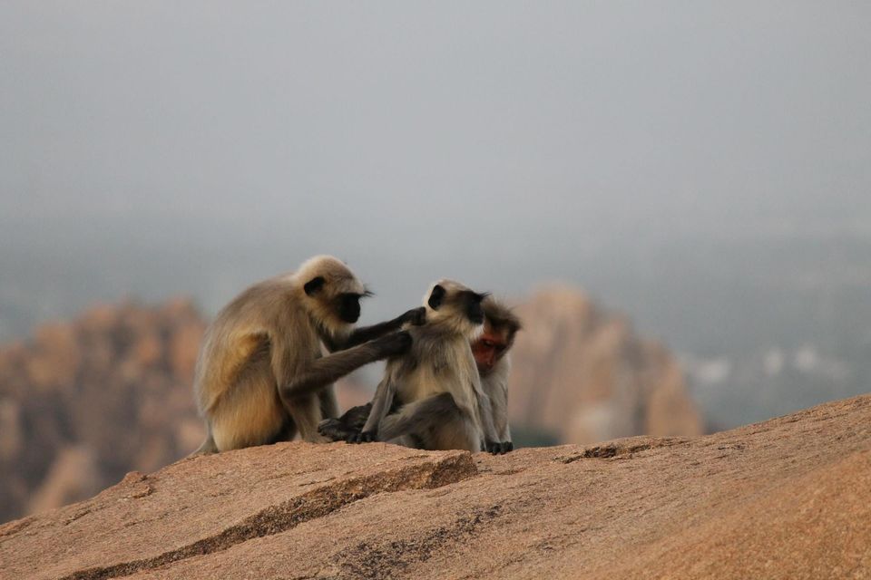Photo of Hampi Island 16/22 by Gaurav Sharma
