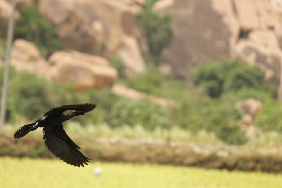 Photo of Hampi Island 5/22 by Gaurav Sharma