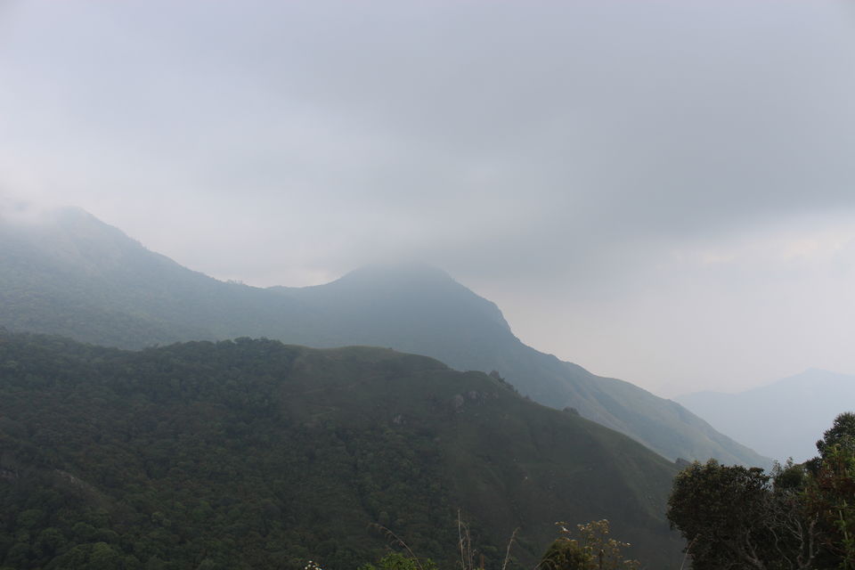 Photo of Munnar, Kerala, India by himanshu jha