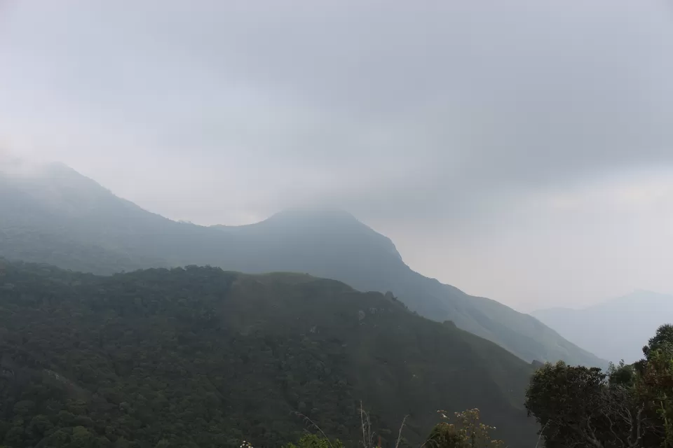 Photo of Munnar, Kerala, India by himanshu jha
