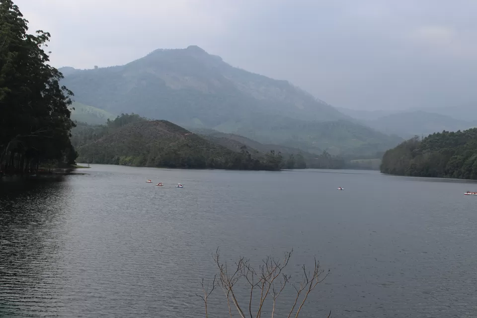 Photo of Munnar, Kerala, India by himanshu jha