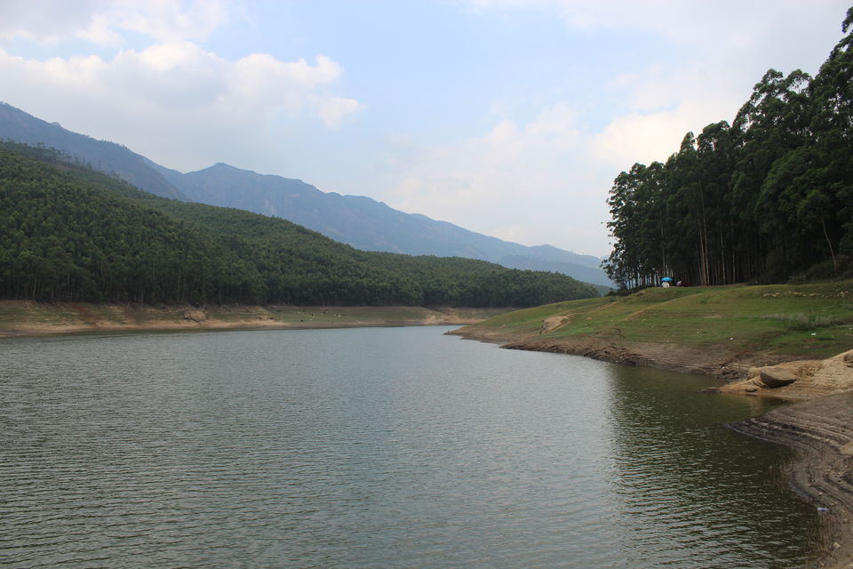 Photo of Munnar, Kerala, India by himanshu jha