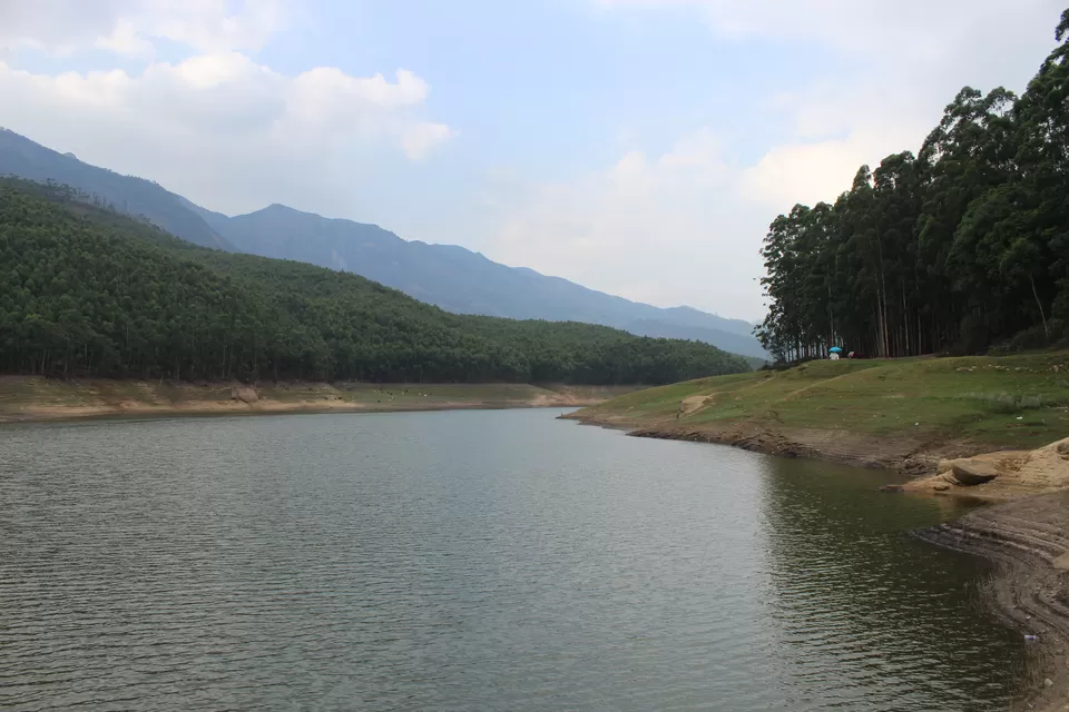 Photo of Munnar, Kerala, India by himanshu jha
