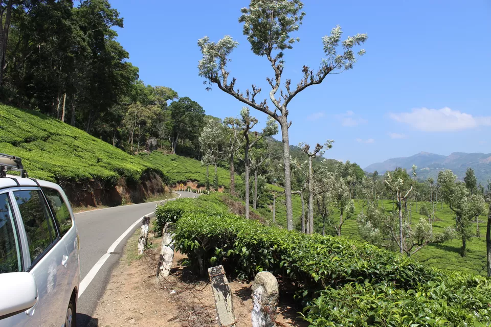 Photo of Thekkady, Kerala, India by himanshu jha