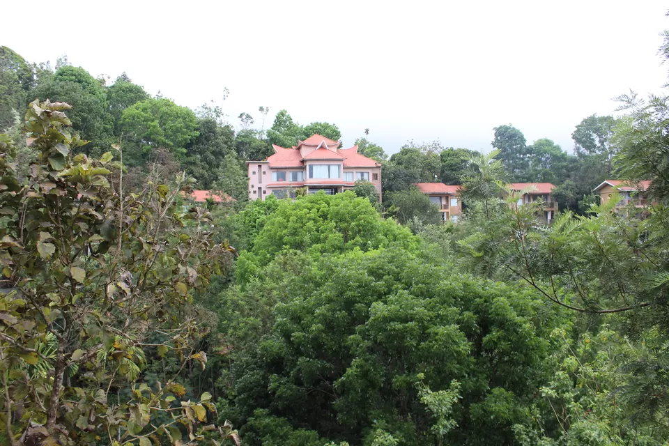 Photo of Kerala Diaries - Cochin,Munnar,Thekkady by himanshu jha
