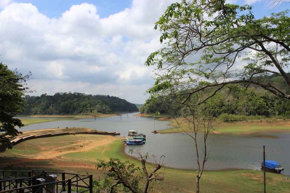 Photo of Periyar National Park, Kerala, India by himanshu jha