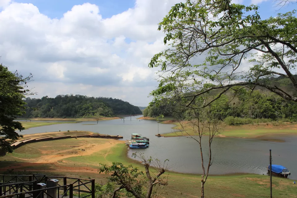 Photo of Periyar National Park, Kerala, India by himanshu jha