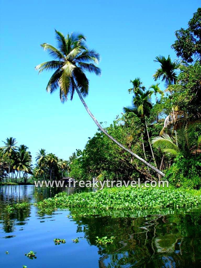 Photo of Alleppey, Kerala, India by Gautam Modi