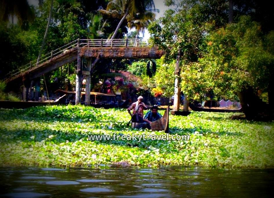 Photo of Exploring South India (3 states) 4/24 by Gautam Modi