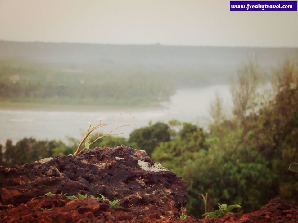 solo trip to goa male