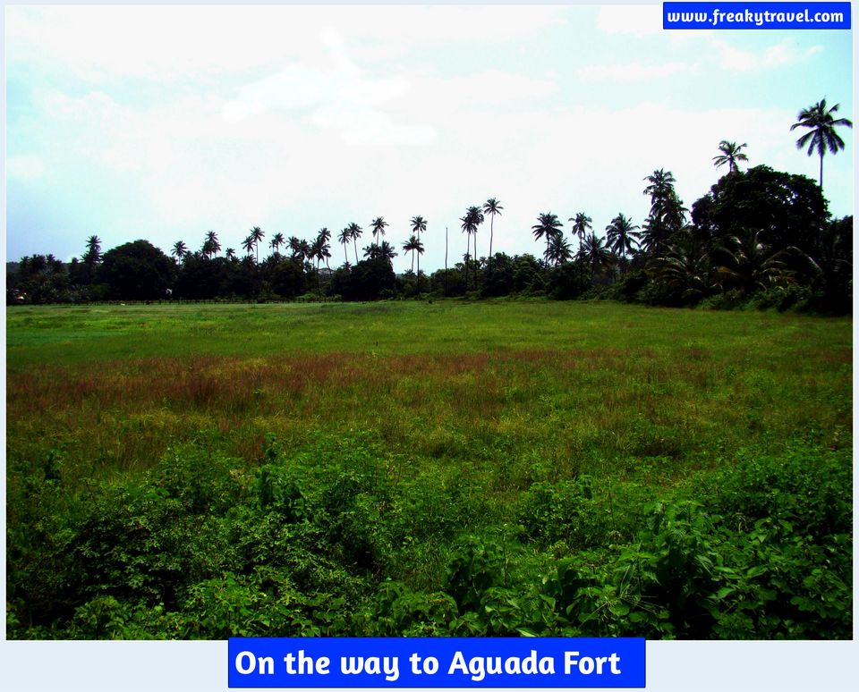 Photo of Solo trip to Goa 6/18 by Gautam Modi