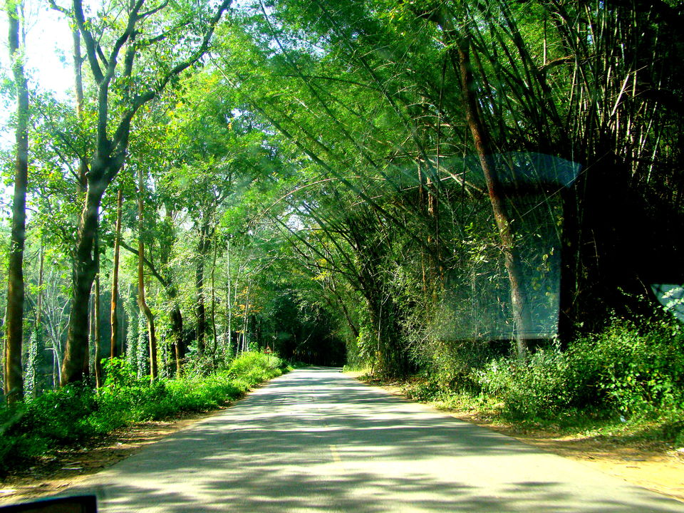 Road Trip to OOTY - Tripoto