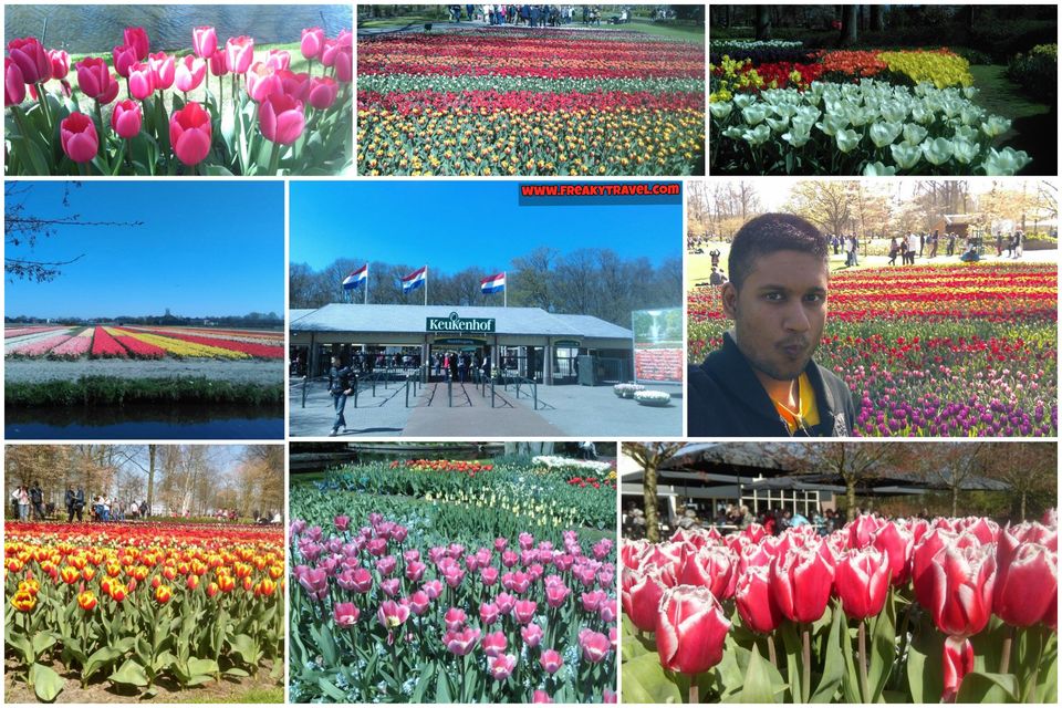 Photo of Amsterdam: City Introduction 4/11 by Gautam Modi