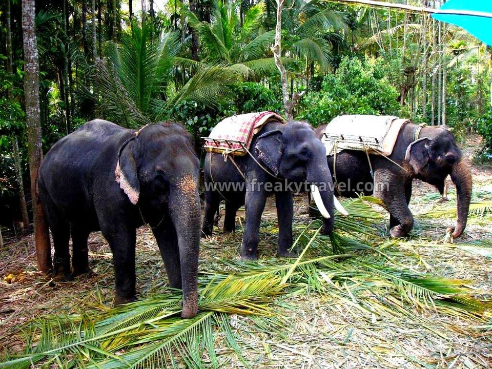 Photo of Exploring South India (3 states) 12/24 by Gautam Modi