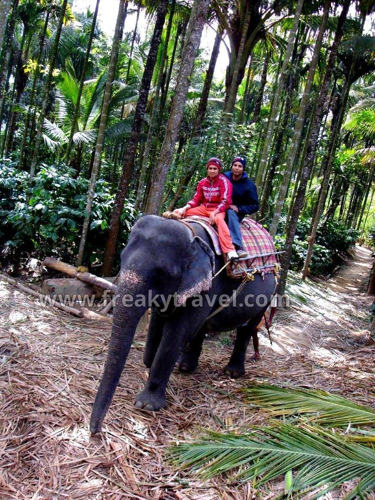 Photo of Exploring South India (3 states) 13/24 by Gautam Modi