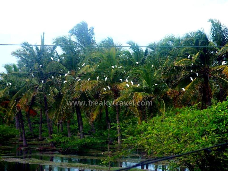 Photo of Exploring South India (3 states) 19/24 by Gautam Modi
