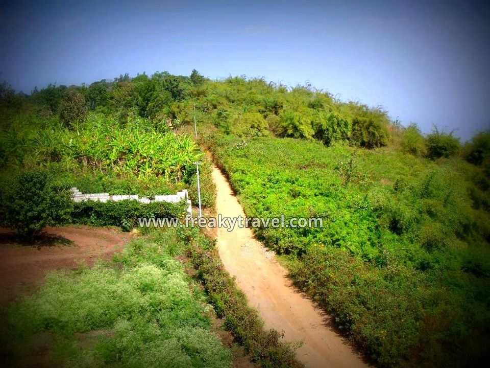 Photo of Exploring South India (3 states) 20/24 by Gautam Modi