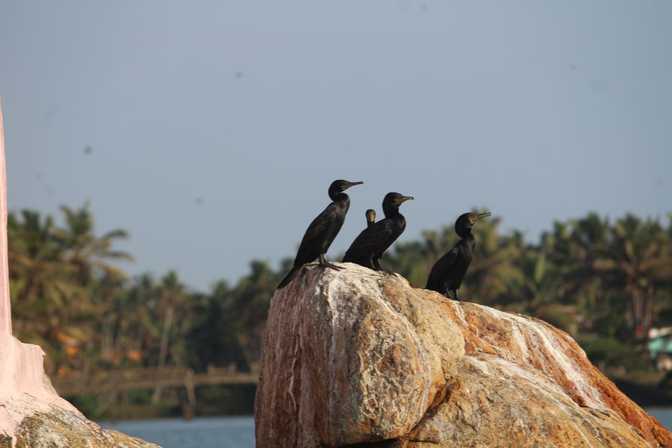 Photo of Poovar, Kerala, India by Prachya