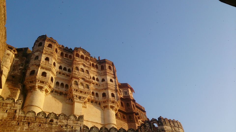Photo of Jodhpur, Rajasthan, India by Achal Gupta