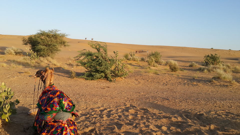 Photo of Colorful Rajasthan: On a Motorcycle 12/38 by Achal Gupta