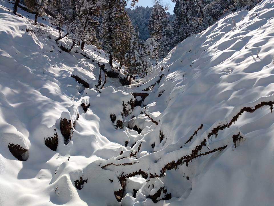 Photo of Lost While Travelling - Chopta Chandrashila by Baghirathy Ramesh