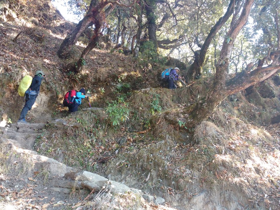 Photo of Lost While Travelling - Chopta Chandrashila 22/45 by Baghirathy Ramesh