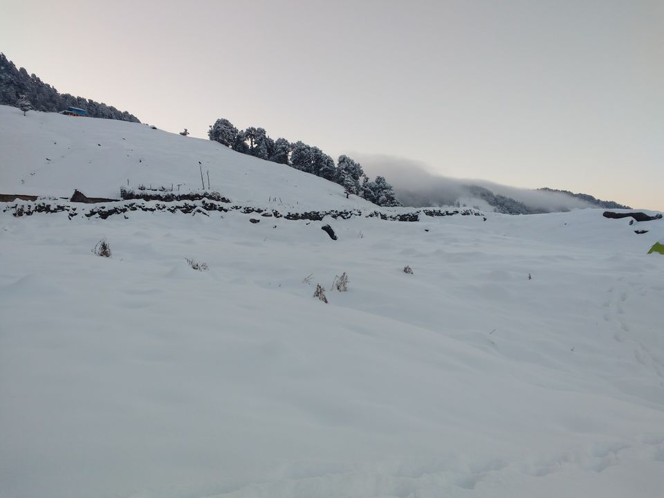 Photo of Lost While Travelling - Chopta Chandrashila 35/45 by Baghirathy Ramesh