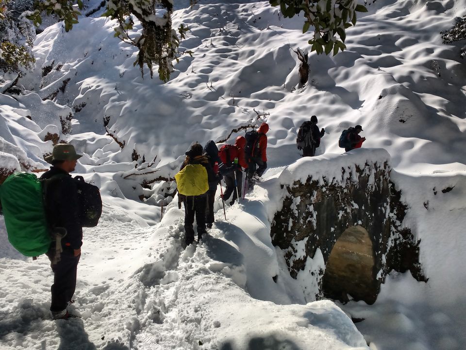 Photo of Lost While Travelling - Chopta Chandrashila 39/45 by Baghirathy Ramesh