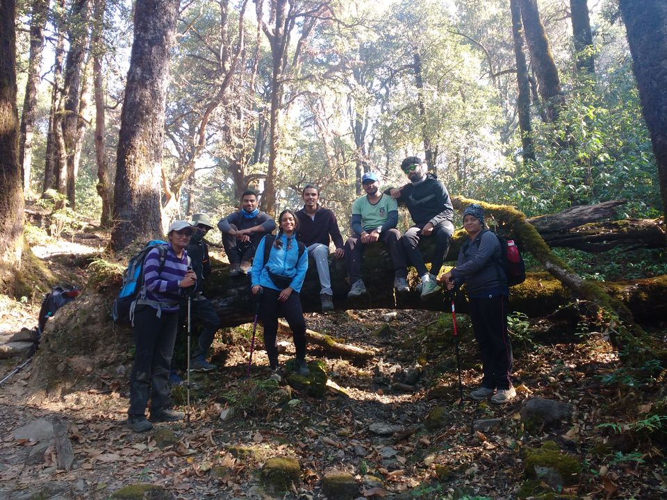 Photo of Lost While Travelling - Chopta Chandrashila 23/45 by Baghirathy Ramesh