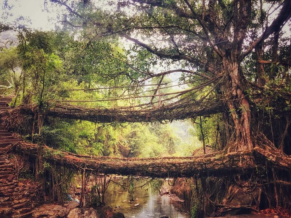 Photo of Lost While Travelling - Meghalaya by Baghirathy Ramesh