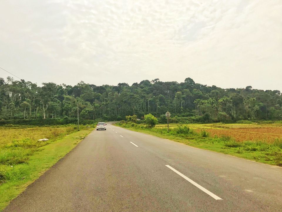 Photo of Lost While Travelling - Coorg (Mallalli, Tadiandamol) 2/10 by Baghirathy Ramesh