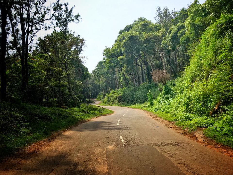 Photo of Lost While Travelling - Coorg (Mallalli, Tadiandamol) 3/10 by Baghirathy Ramesh