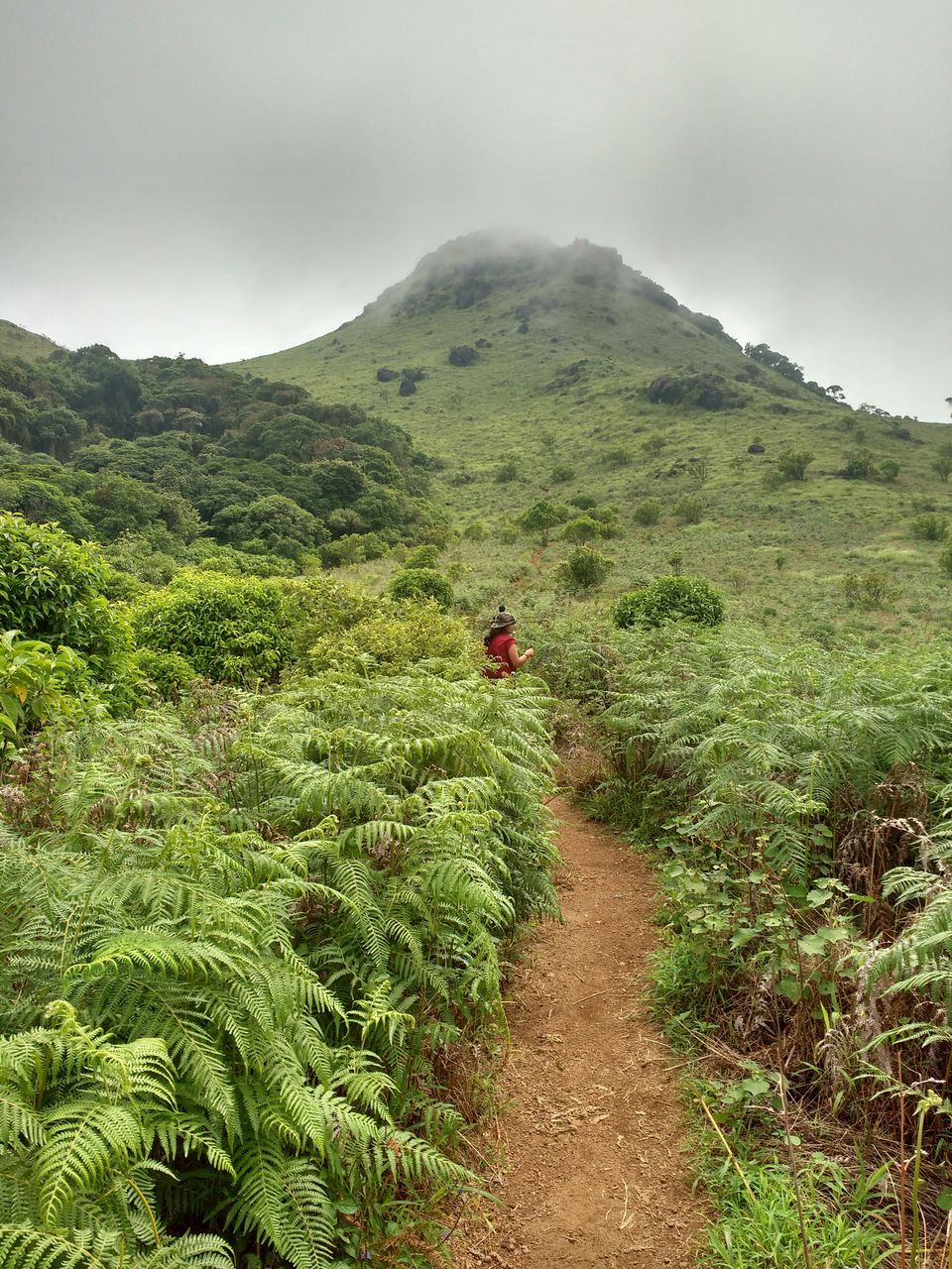 Photo of Lost While Travelling - Coorg (Mallalli, Tadiandamol) 5/10 by Baghirathy Ramesh
