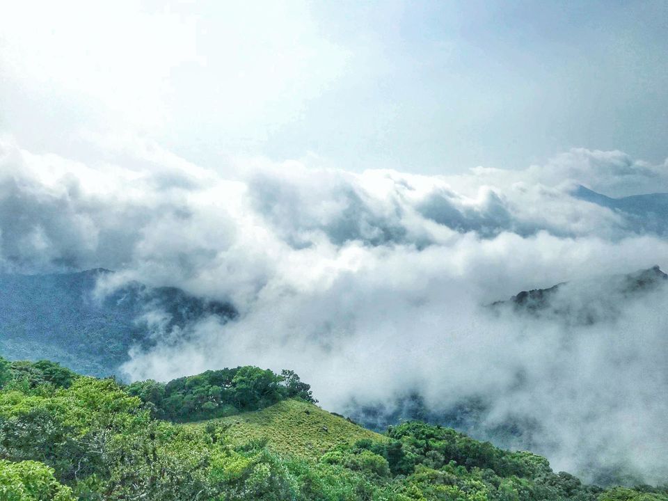Photo of Lost While Travelling - Coorg (Mallalli, Tadiandamol) 7/10 by Baghirathy Ramesh