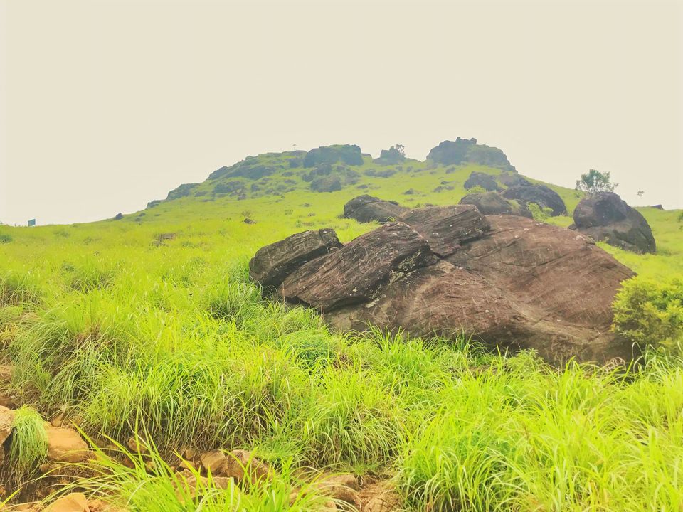 Photo of Lost While Travelling - Coorg (Mallalli, Tadiandamol) 6/10 by Baghirathy Ramesh