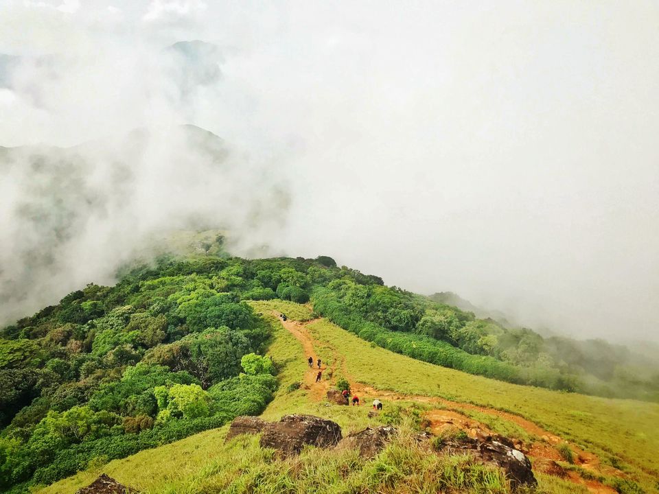 Photo of Lost While Travelling - Coorg (Mallalli, Tadiandamol) 8/10 by Baghirathy Ramesh