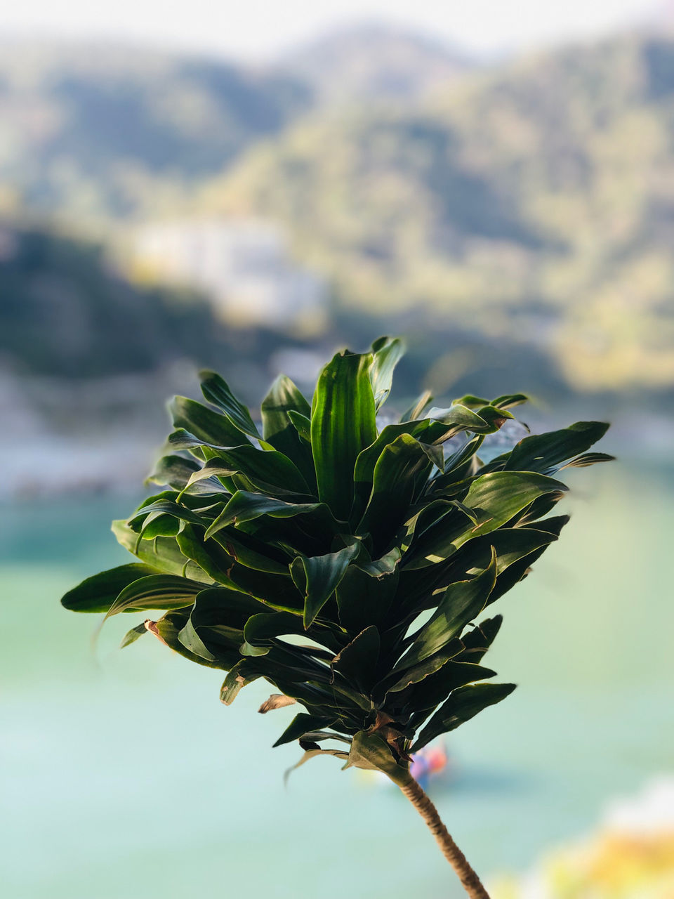 Photo of Ganga View Cafe, Swarg Ashram, Rishikesh, Uttarakhand, India by NJ Vlogger