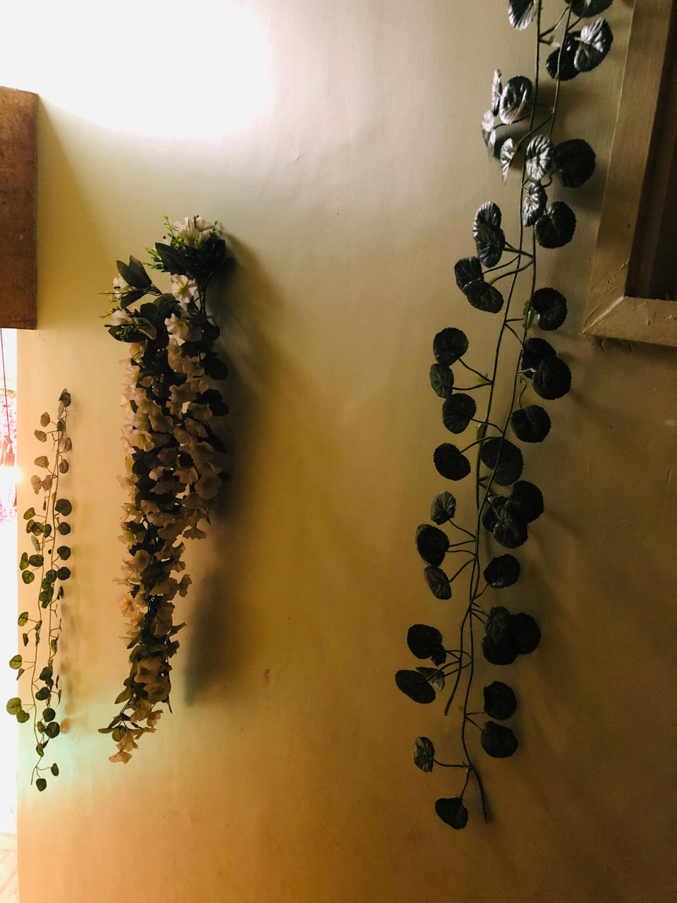 Photo of 7 bites cafe & disc, University Main Rd, North Ayad, Ayad, Pahada, Udaipur, Rajasthan, India by NJ Vlogger