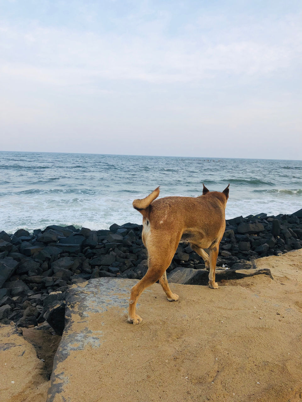 Photo of Promenade Beach, Puducherry by NJ Vlogger