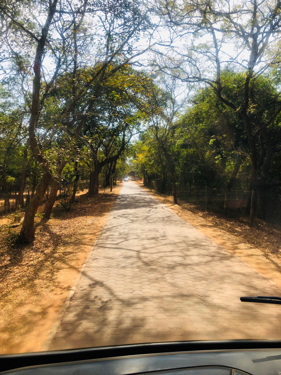 Photo of Matrimandir, Auroville, Bommayapalayam, Tamil Nadu, India by NJ Vlogger