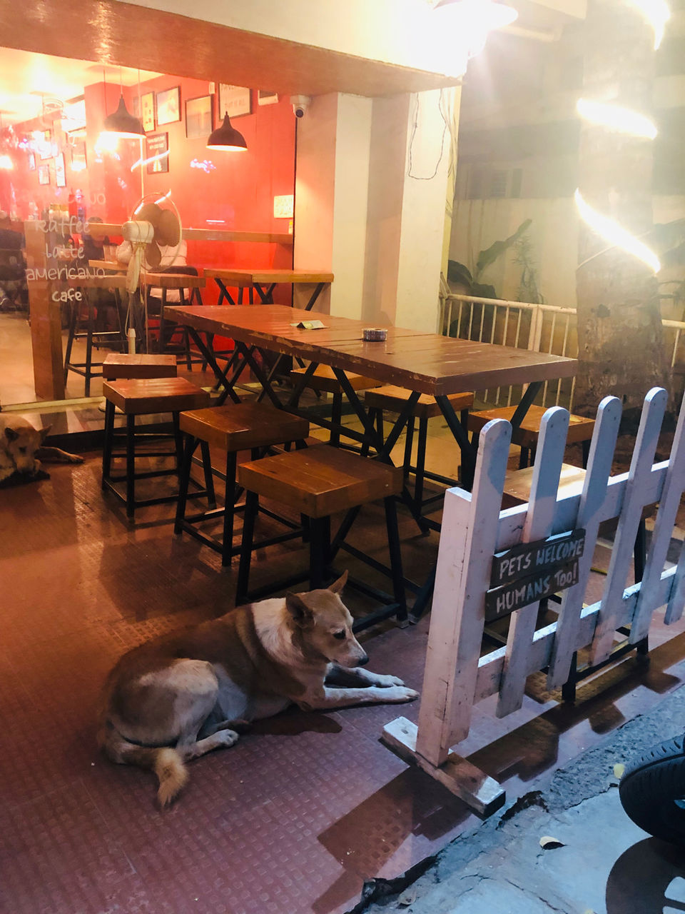 Photo of Eddy's Cafe, 6th Main Road, HAL 2nd Stage, Defence Colony, Indiranagar, Bengaluru, Karnataka, India by NJ Vlogger
