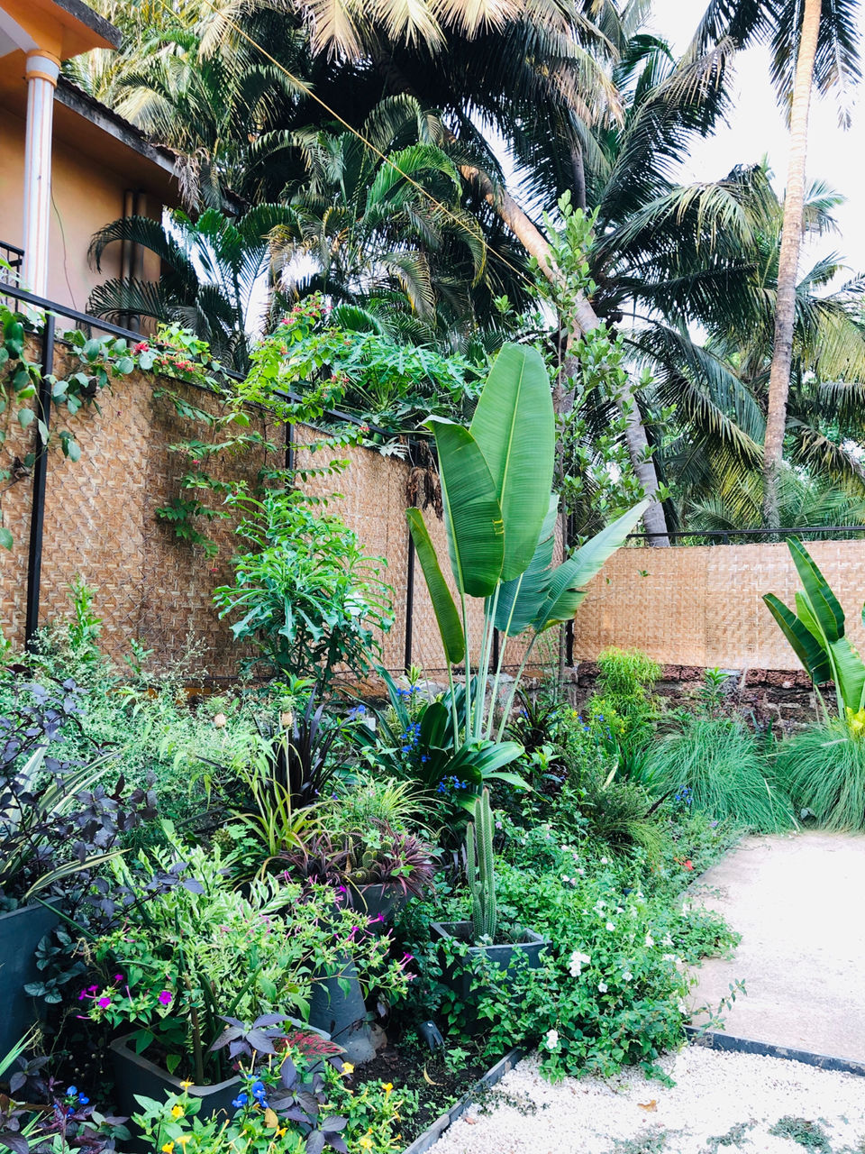 Photo of Mahe - Modern Coastal Cuisine, Calangute - Arpora Road, Near, Anjuna, Goa, India by NJ Vlogger