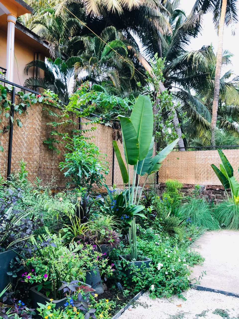Photo of Mahe - Modern Coastal Cuisine, Calangute - Arpora Road, Near, Anjuna, Goa, India by NJ Vlogger