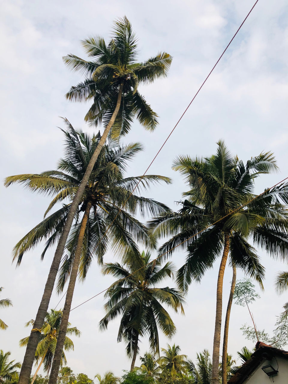 Photo of Mahe - Modern Coastal Cuisine, Calangute - Arpora Road, Near, Anjuna, Goa, India by NJ Vlogger