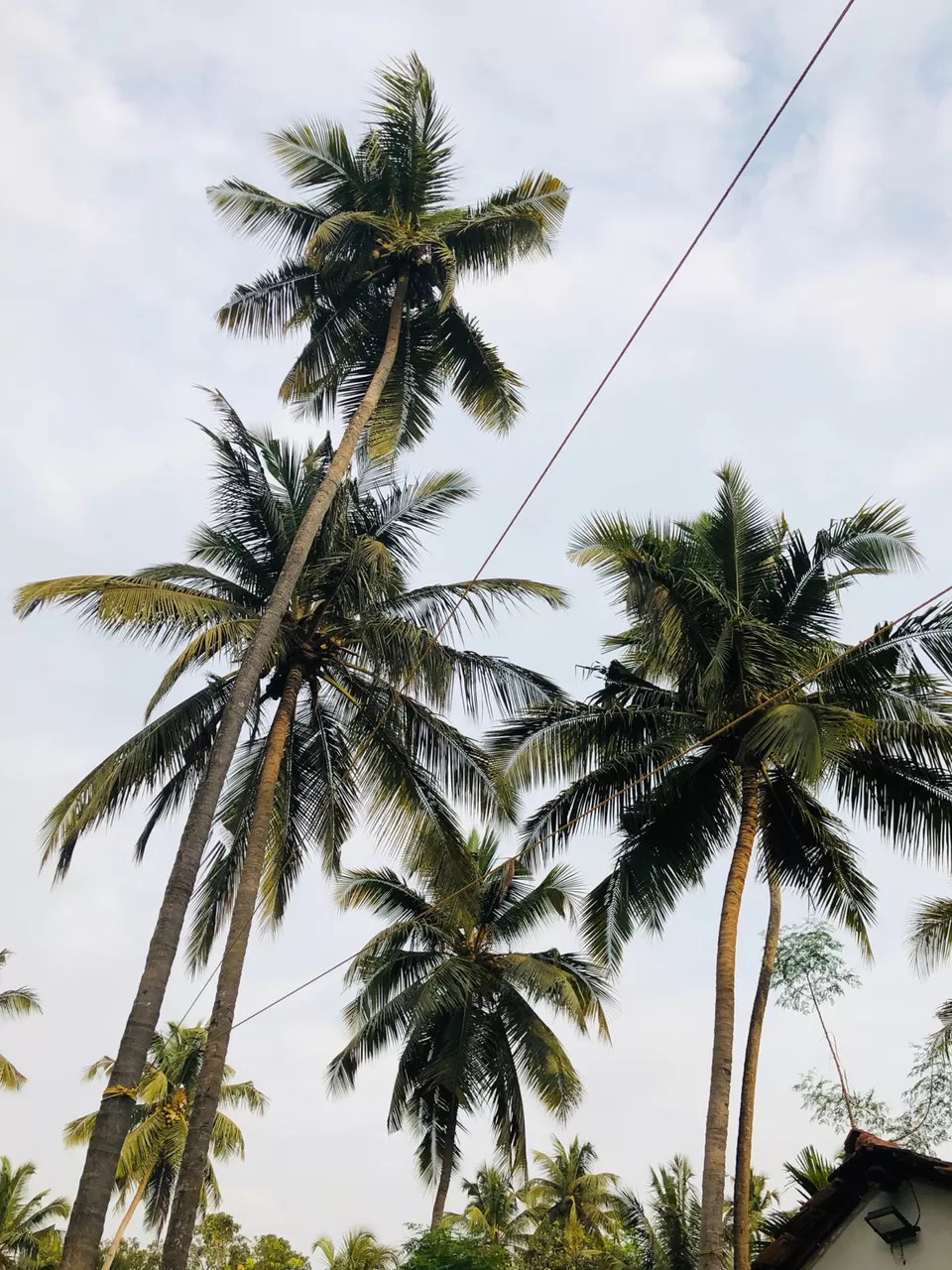 Photo of Mahe - Modern Coastal Cuisine, Calangute - Arpora Road, Near, Anjuna, Goa, India by NJ Vlogger