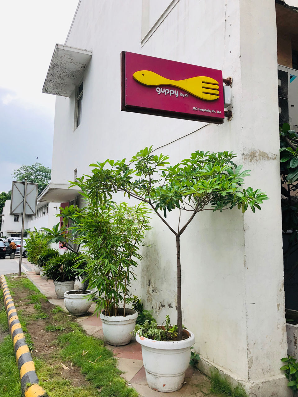 Photo of Guppy, Block 13, Lodi Colony, New Delhi, Delhi, India by NJ Vlogger