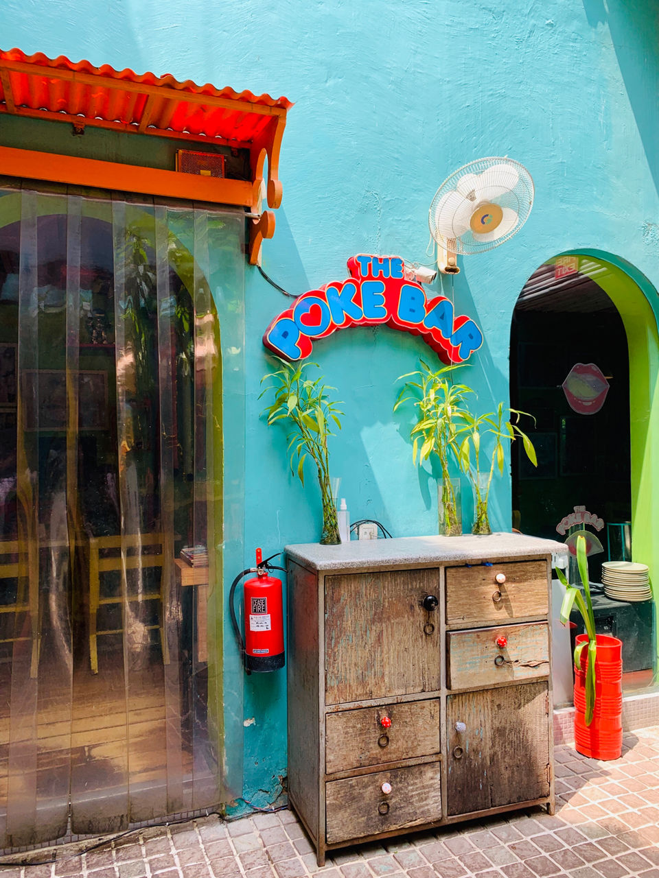 Photo of Guppy, Block 13, Lodi Colony, New Delhi, Delhi, India by NJ Vlogger