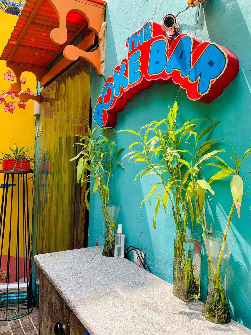 Photo of Guppy, Block 13, Lodi Colony, New Delhi, Delhi, India by NJ Vlogger